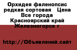 Орхидея фаленопсис редкая сортовая › Цена ­ 800 - Все города  »    . Красноярский край,Железногорск г.